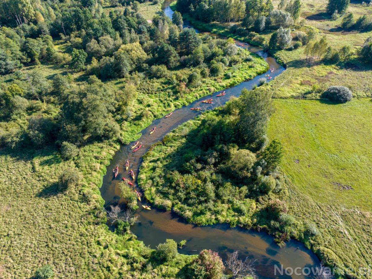 Spływy kajakowe Pilicą