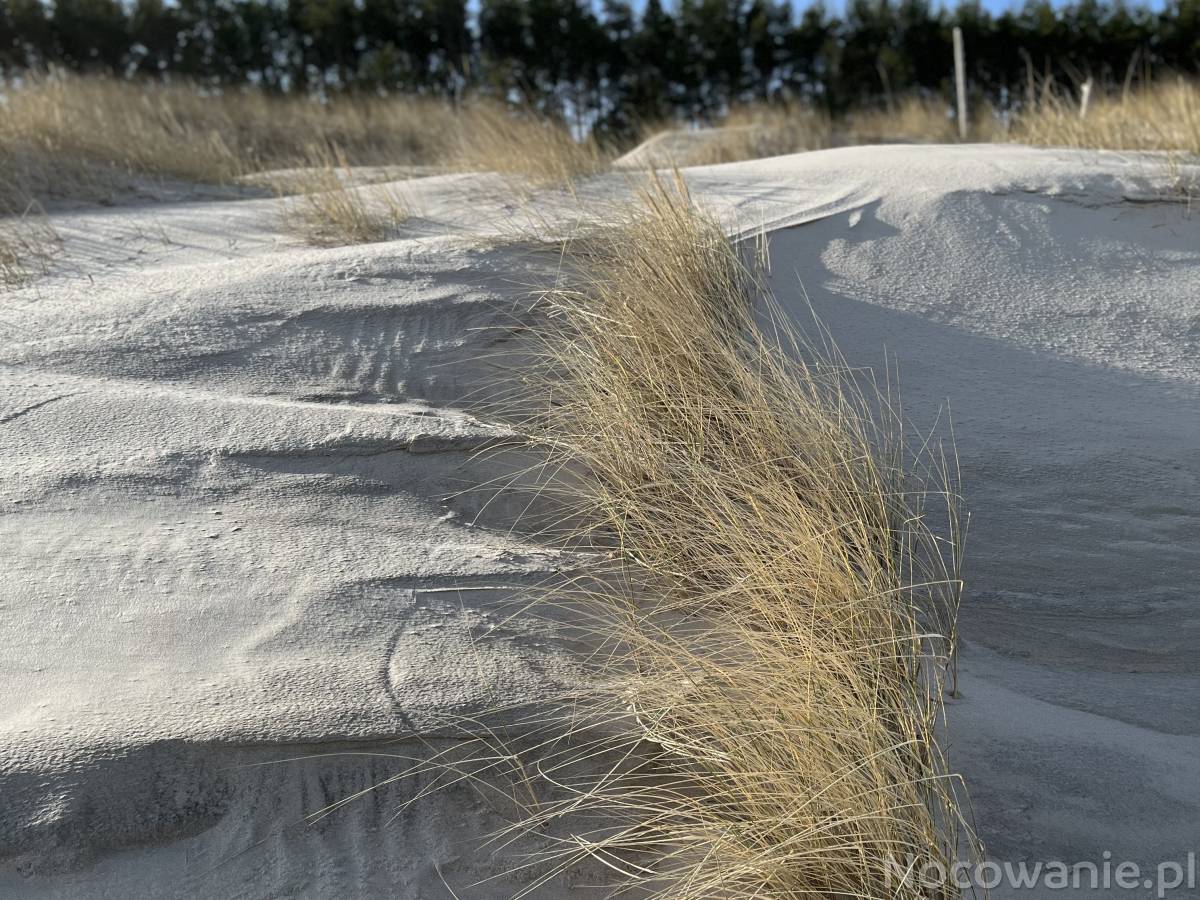 Maj - Czerwiec i Wrzesień 
