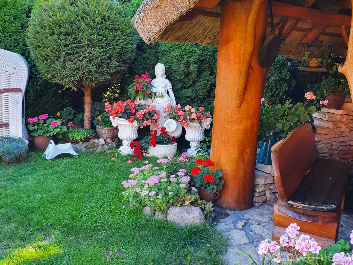 Wczasy dla Seniorów