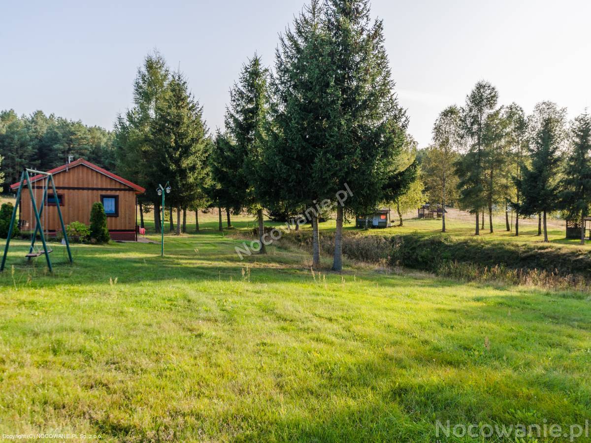 Kolonie, obozy, zielone szkoły