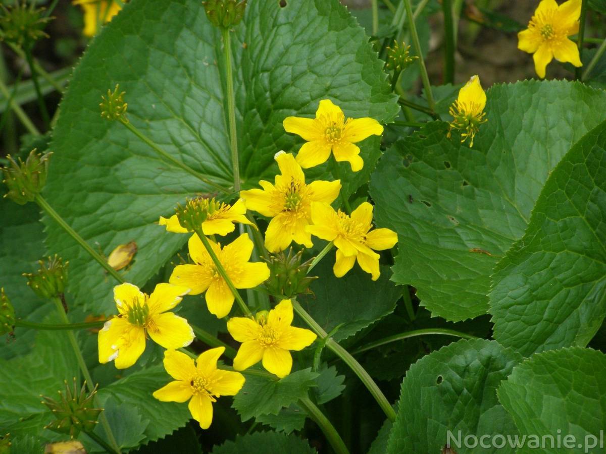 Dla turystów portalu