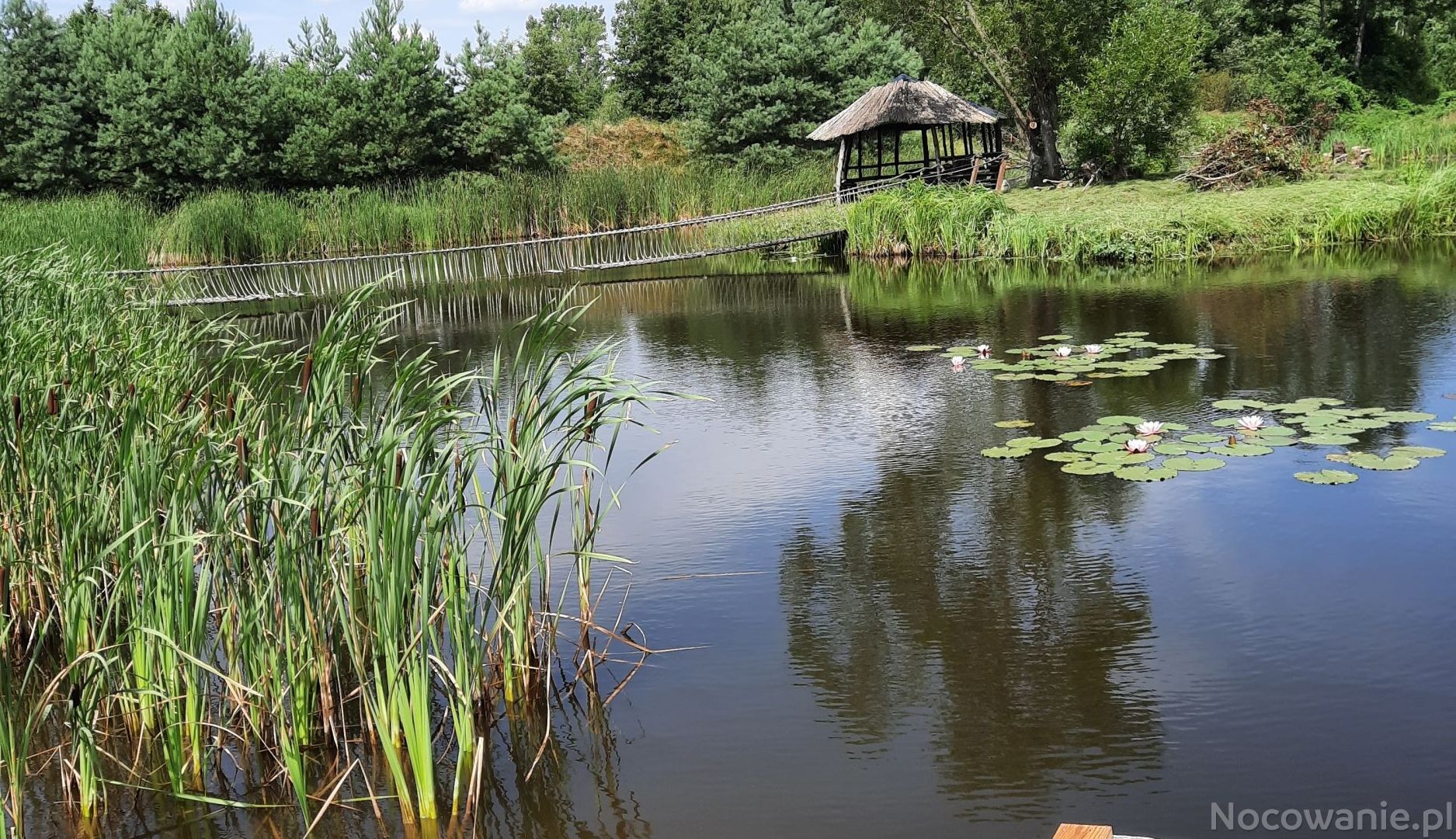 Agroturystyka Madajka