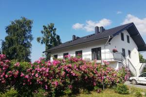 Łuska 