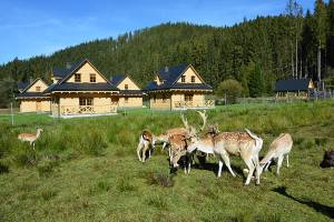 Domki Wypoczynkowe Romanówka