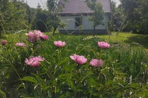 Jaśkowy Domek na Mazurach