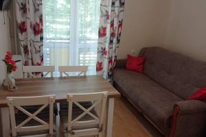 Apartament 2-pokojowy w Parku, Rabka Zdrój