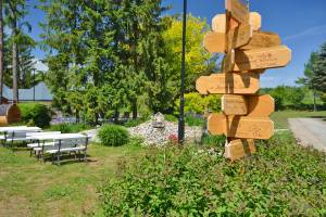 POD SKAMIENIAŁYM MIASTEM 