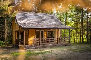 Zagajnik Białowieża