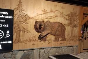 Apartamenty Pod Niedźwiedziem Centrum