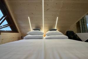 Willa Aleksandrówka