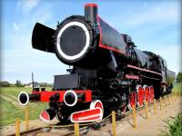 Labirynt w polu kukurydzy i autobus do góry kołami