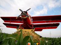 Labirynt w polu kukurydzy i autobus do góry kołami