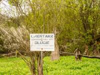 Dawny cmentarz łemkowski we wsi Długie