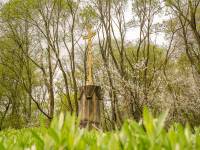 Dawny cmentarz łemkowski we wsi Długie