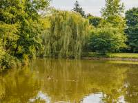 Park miejski w Andrychowie