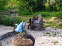 Paintball Poligon we Włodawie