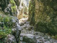 Tatrzański Park Narodowy