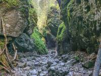 Wąwóz Kraków w Tatrach Zachodnich