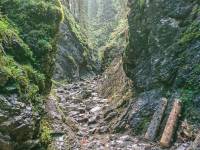 Wąwóz Kraków w Tatrach Zachodnich