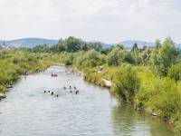 Plaża nad Kamienicą 