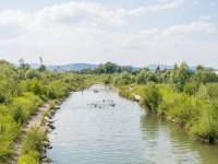 Plaża nad Kamienicą 