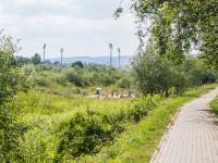 Plaża nad Kamienicą 