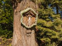 Kościół św. Elżbiety Węgierskiej w Trybszu