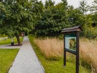 Edukacyjna ścieżka przyrodnicza - Leśne cuda