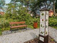 Edukacyjna ścieżka przyrodnicza - Leśne cuda