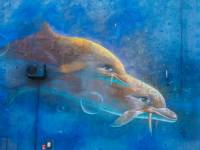 Miejski Ośrodek Sportu i Rekreacji w Nowym Sączu