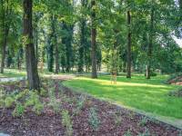 Amfiteatr w Parku Strzeleckim w Nowym Sączu