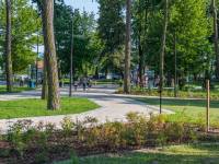 Amfiteatr w Parku Strzeleckim w Nowym Sączu