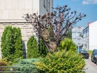 Miejski Ośrodek Kultury w Nowym Sączu