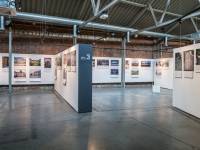 Żydowskie Muzeum Galicja