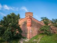 Zamek Królewski na Wawelu