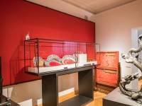 Muzeum Książąt Czartoryskich