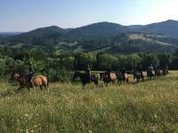 Stadnina Koni Huculskich TABUN w Polanie