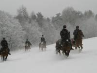 Stadnina Koni Huculskich TABUN w Polanie