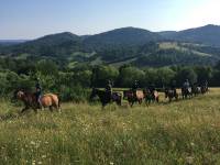 Stadnina Koni Huculskich TABUN w Polanie
