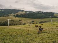 Arena Narciarska Jaworki - Homole