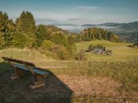 Arena Narciarska Jaworki - Homole