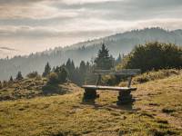 Arena Narciarska Jaworki - Homole