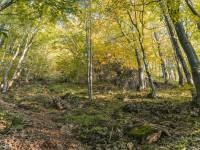 Rezerwat przyrody Wysokie Skałki