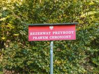 Rezerwat przyrody Wysokie Skałki