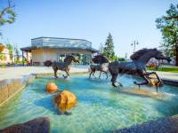 Fontanna w Janowie Podlaskim