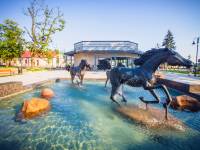 Fontanna w Janowie Podlaskim