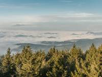 Radziejowa - Korona Gór Polskich