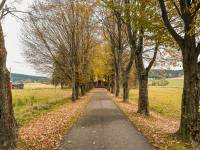 Cerkiew pw. Wniebowstąpienia Pańskiego w Gładyszowie