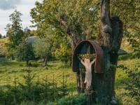 Rezerwat przyrody Biała Woda