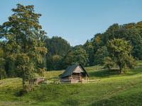 Rezerwat przyrody Biała Woda